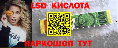 прущие грибы Донецк