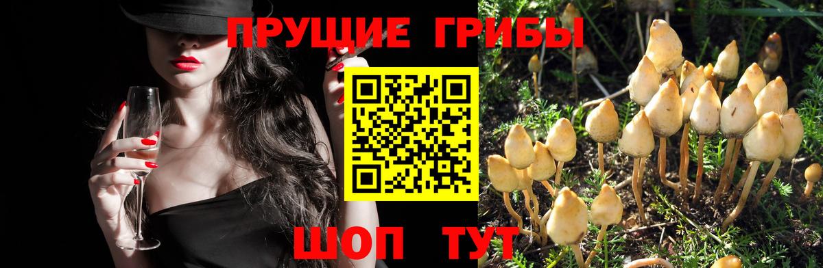 Магнитогорск  где можно купить   Галлюциногенные грибы ЛСД  Вход с VPN  Псилоцибиновые грибы прущие грибы 
